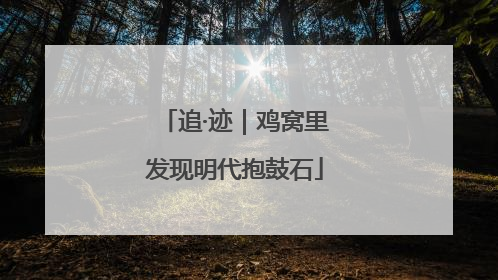 追·迹｜鸡窝里发现明代抱鼓石