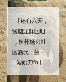 还有六天，钱塘江鲜回归，杭州杨公社区渔民：第一波盼刀鱼