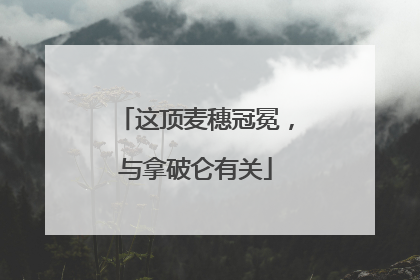 这顶麦穗冠冕，与拿破仑有关