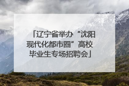 辽宁省举办“沈阳现代化都市圈”高校毕业生专场招聘会