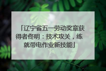 辽宁省五一劳动奖章获得者佟明：技术攻关，练就带电作业新技能