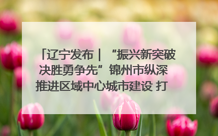 辽宁发布｜“振兴新突破 决胜勇争先”锦州市纵深推进区域中心城市建设 打造高质量发展新增长极