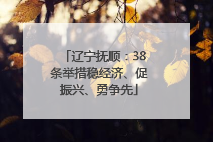 辽宁抚顺：38条举措稳经济、促振兴、勇争先
