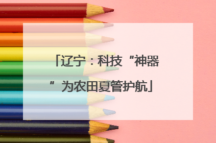 辽宁：科技“神器”为农田夏管护航