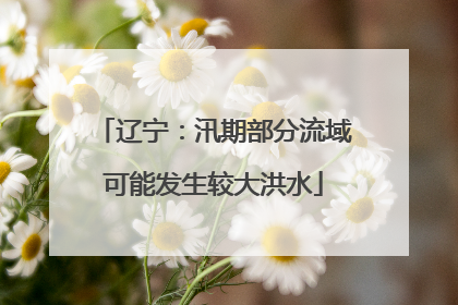 辽宁：汛期部分流域可能发生较大洪水