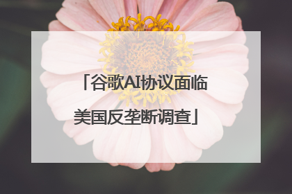 谷歌AI协议面临美国反垄断调查