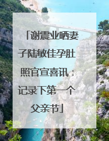 谢震业晒妻子陆敏佳孕肚照官宣喜讯：记录下第一个父亲节
