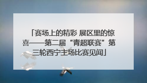 赛场上的精彩 展区里的惊喜——第二届“青超联赛”第三轮西宁主场比赛见闻