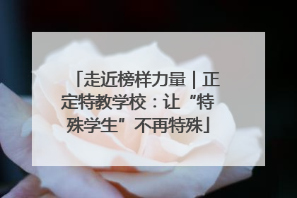 走近榜样力量｜正定特教学校：让“特殊学生”不再特殊