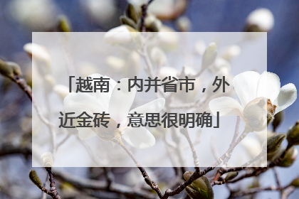 越南：内并省市，外近金砖，意思很明确