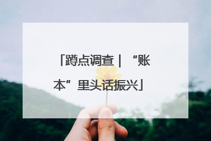 蹲点调查｜“账本”里头话振兴
