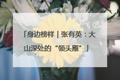 身边榜样｜张有英：大山深处的“领头雁”