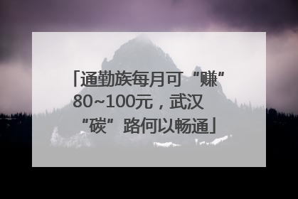 通勤族每月可“赚”80~100元，武汉“碳”路何以畅通