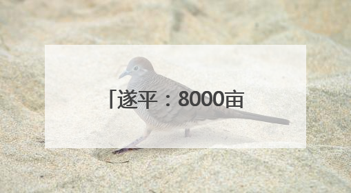 遂平：8000亩马铃薯喜获丰收
