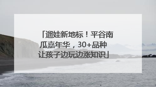 遛娃新地标！平谷南瓜嘉年华，30+品种让孩子边玩边涨知识