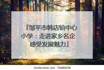 邹平市韩店镇中心小学：走进家乡名企 感受发展魅力