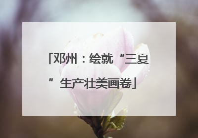 邓州：绘就“三夏”生产壮美画卷
