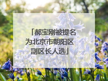 郝宝刚被提名为北京市朝阳区副区长人选