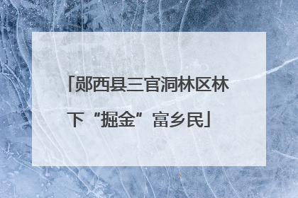 郧西县三官洞林区林下“掘金”富乡民
