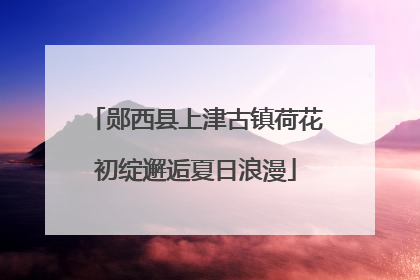 郧西县上津古镇荷花初绽邂逅夏日浪漫