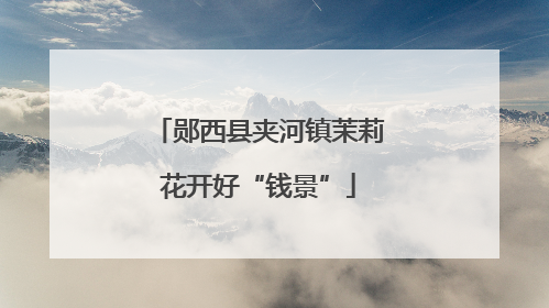 郧西县夹河镇茉莉花开好“钱景”