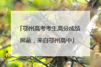 鄂州高考考生高分成绩屏蔽，来自鄂州高中