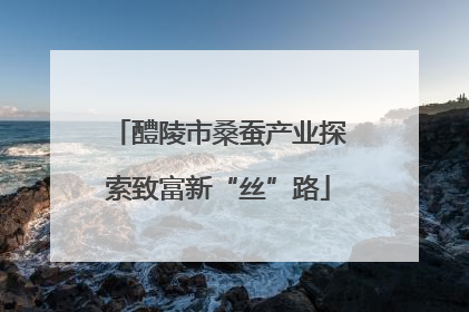 醴陵市桑蚕产业探索致富新“丝”路