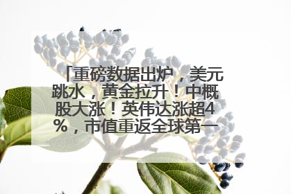 重磅数据出炉，美元跳水，黄金拉升！中概股大涨！英伟达涨超4%，市值重返全球第一！黄仁勋计划出售至多600万股股票