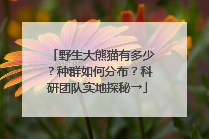 野生大熊猫有多少？种群如何分布？科研团队实地探秘→