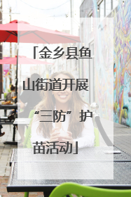 金乡县鱼山街道开展“三防”护苗活动