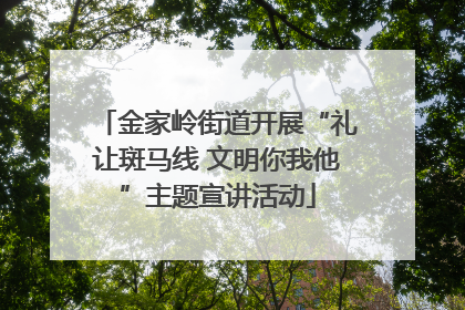 金家岭街道开展“礼让斑马线 文明你我他”主题宣讲活动