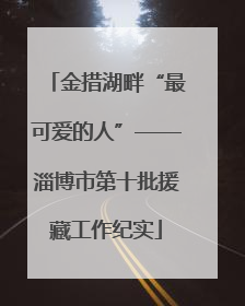 金措湖畔“最可爱的人”——淄博市第十批援藏工作纪实