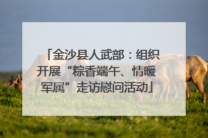 金沙县人武部：组织开展“粽香端午、情暖军属”走访慰问活动