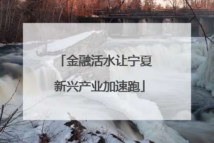 金融活水让宁夏新兴产业加速跑