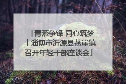 青燕争锋 同心筑梦丨淄博市沂源县燕崖镇召开年轻干部座谈会