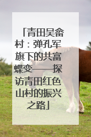 青田吴畲村：弹孔军旗下的共富蝶变——探访青田红色山村的振兴之路