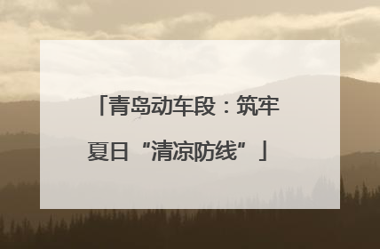 青岛动车段：筑牢夏日“清凉防线”