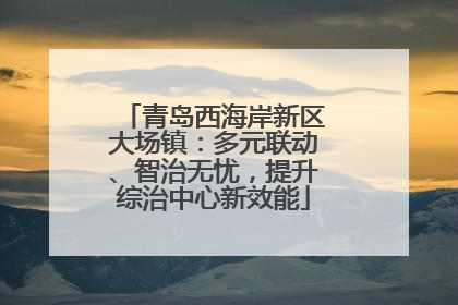 青岛西海岸新区大场镇：多元联动、智治无忧，提升综治中心新效能