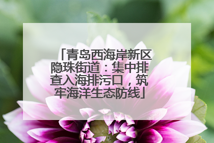青岛西海岸新区隐珠街道：集中排查入海排污口，筑牢海洋生态防线