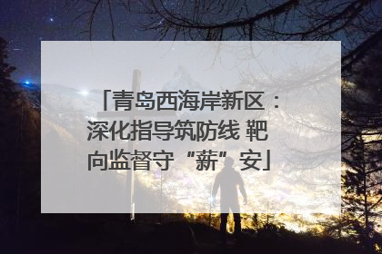 青岛西海岸新区：深化指导筑防线 靶向监督守“薪”安