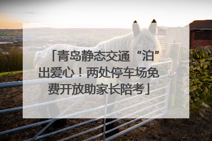 青岛静态交通“泊”出爱心！两处停车场免费开放助家长陪考