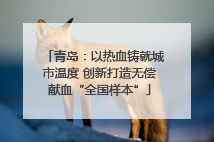 青岛：以热血铸就城市温度 创新打造无偿献血“全国样本”