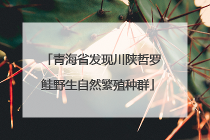 青海省发现川陕哲罗鲑野生自然繁殖种群