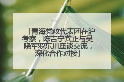 青海党政代表团在沪考察，陈吉宁龚正与吴晓军罗东川座谈交流，深化合作对接
