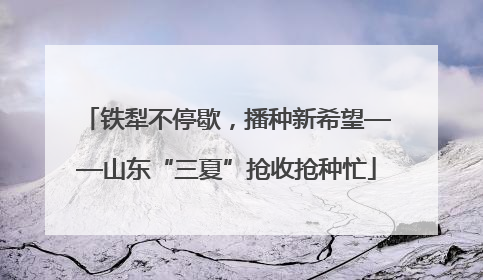铁犁不停歇，播种新希望——山东“三夏”抢收抢种忙