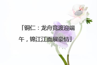 铜仁：龙舟竞渡迎端午，锦江江面展豪情