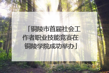 铜陵市首届社会工作者职业技能竞赛在铜陵学院成功举办