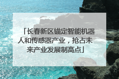 长春新区锚定智能机器人和传感器产业，抢占未来产业发展制高点