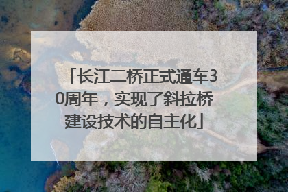 长江二桥正式通车30周年，实现了斜拉桥建设技术的自主化