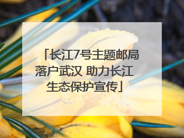 长江7号主题邮局落户武汉 助力长江生态保护宣传